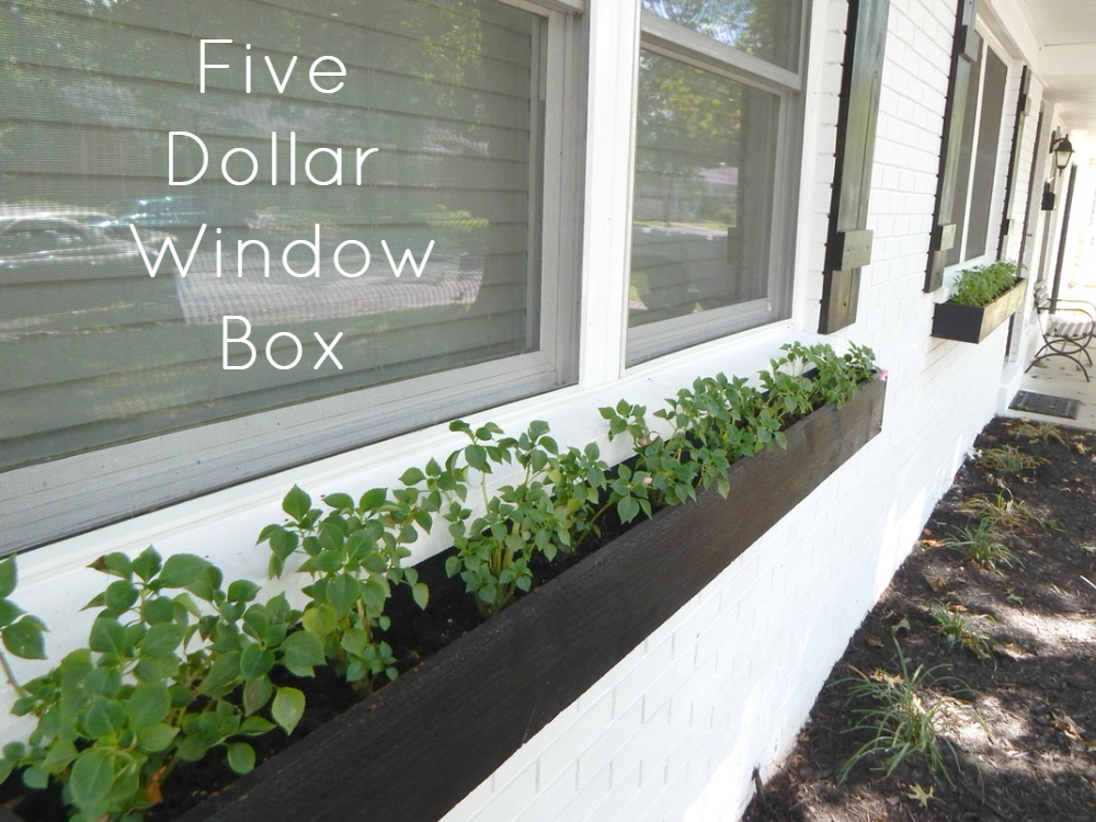 FIVE DOLLAR WINDOW BOX