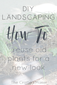 Landscaping can drastically change the look of a home. Use the plants you already had planted to create a whole new look for very little money.