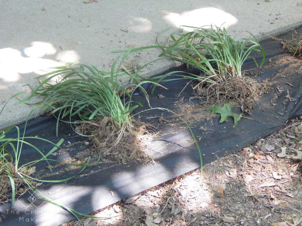 Landscaping can drastically change the look of a home. Use the plants you already had planted to create a whole new look for very little money.